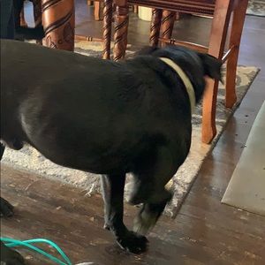 Meet your Posher, Kathleen